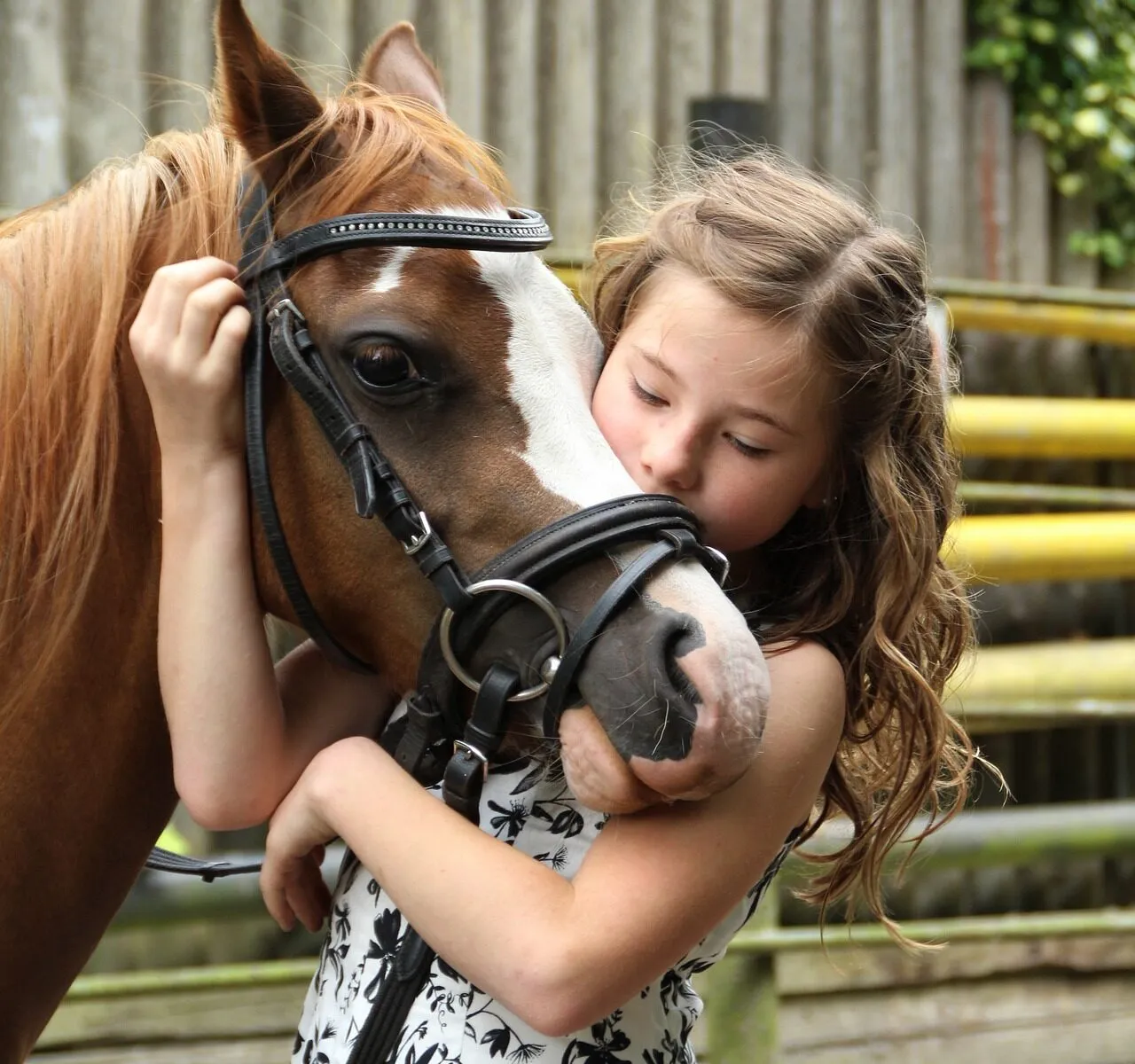 TOUR À PONEY À LA MAIN