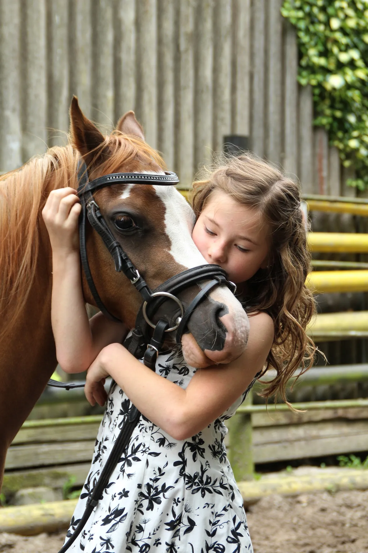 TOUR À PONEY À LA MAIN