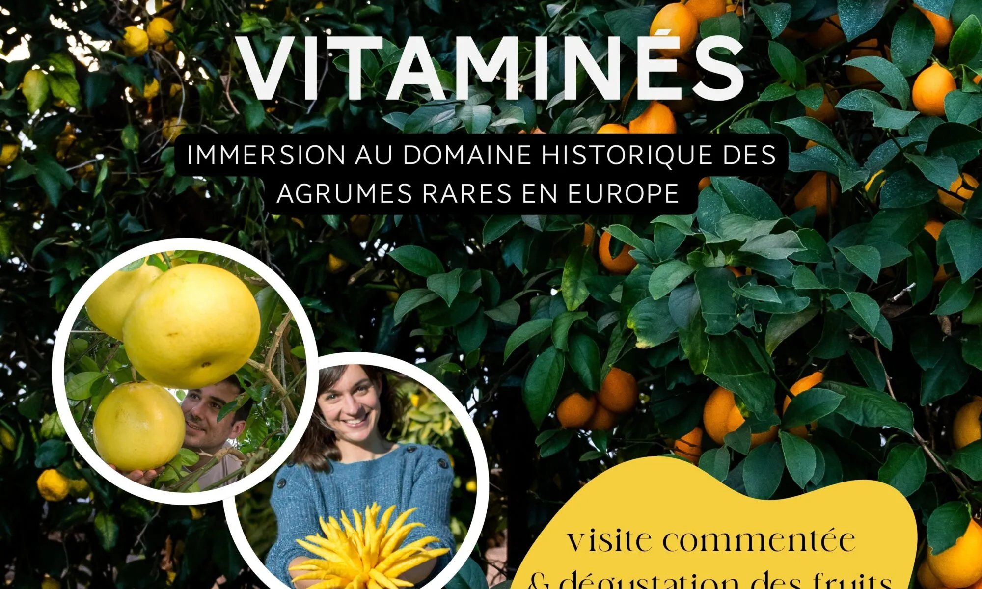 VENDREDIS VITAMINÉS!