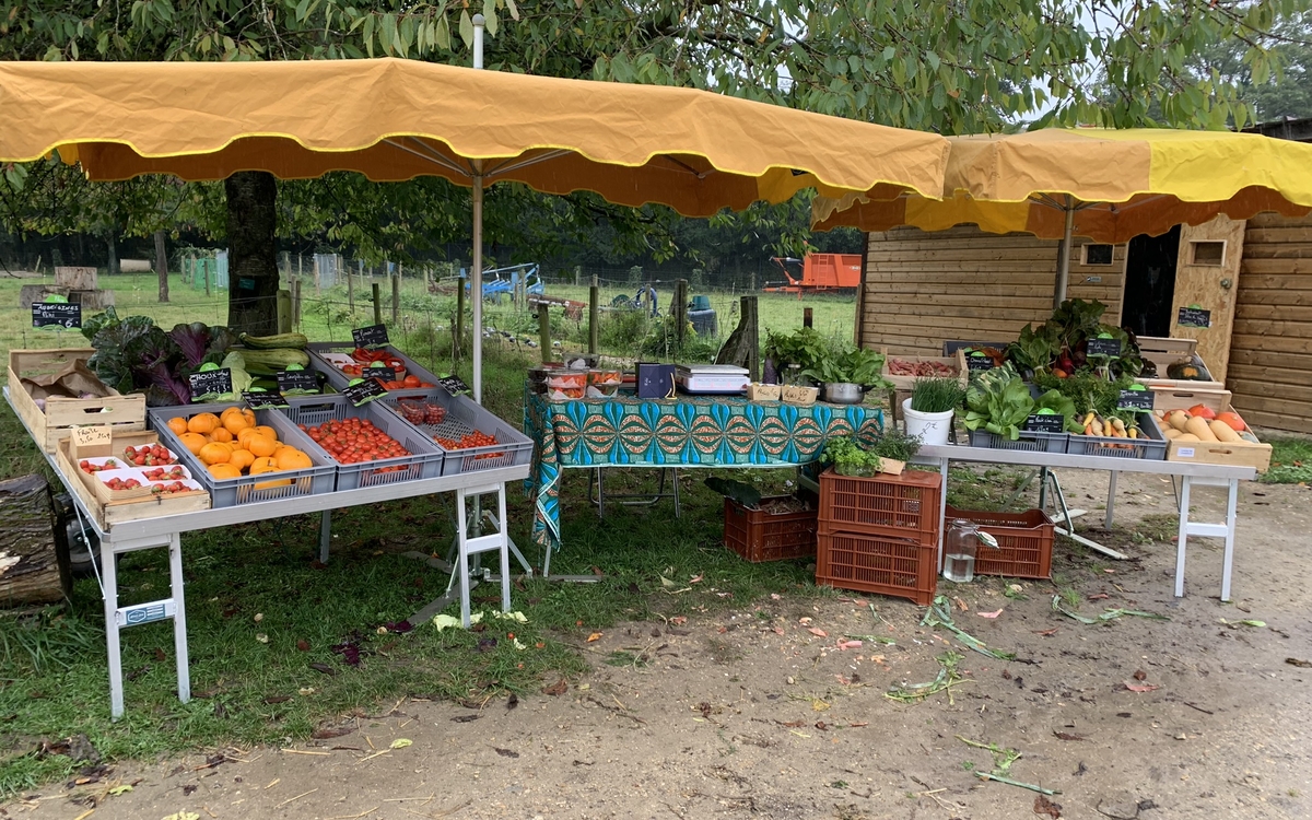 Vente de légumes bio en direct de la Ferme de Paris La Ferme de Paris Vincennes