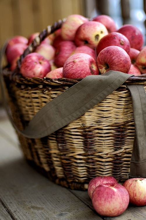 Fête de la pomme et du boudin