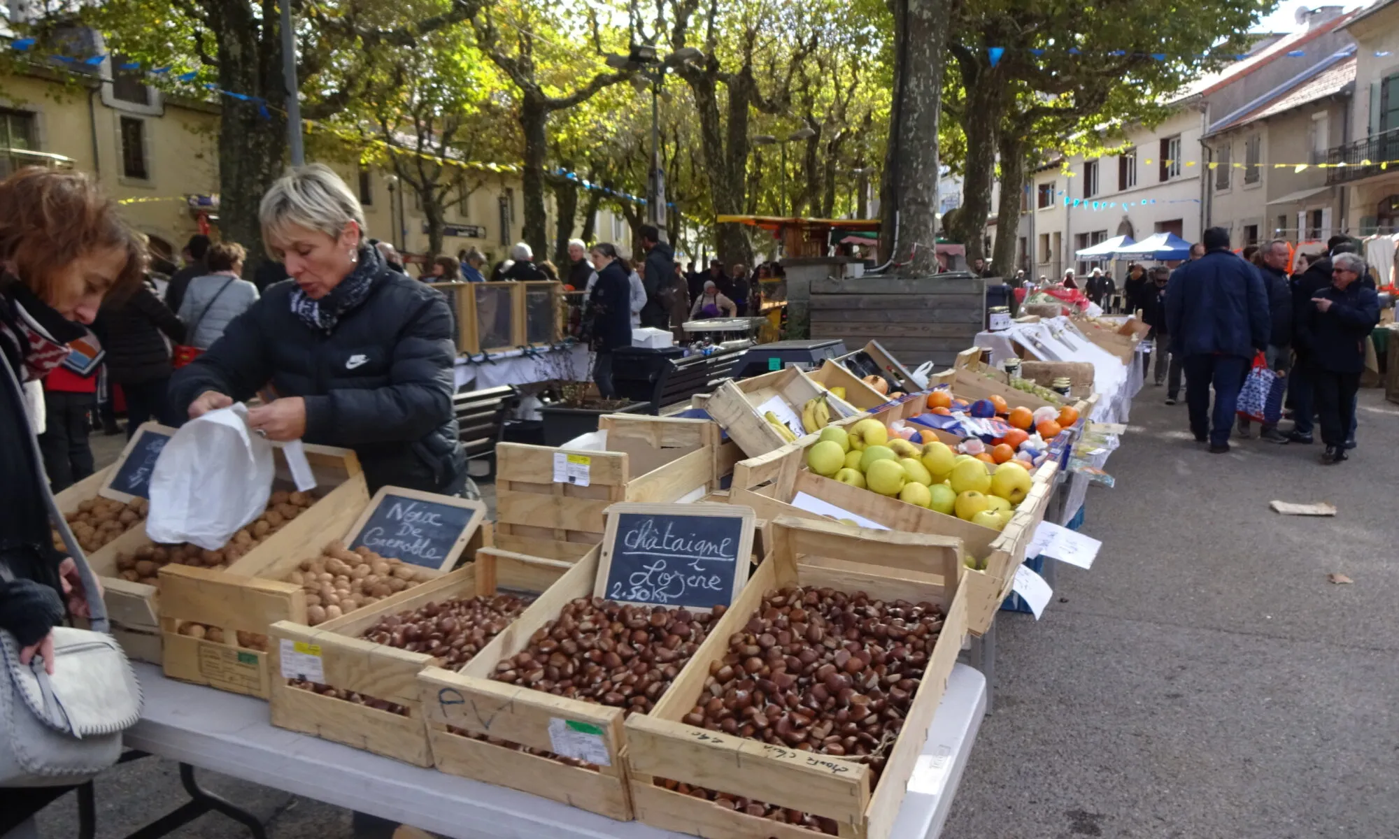 FÊTE DU TERROIR