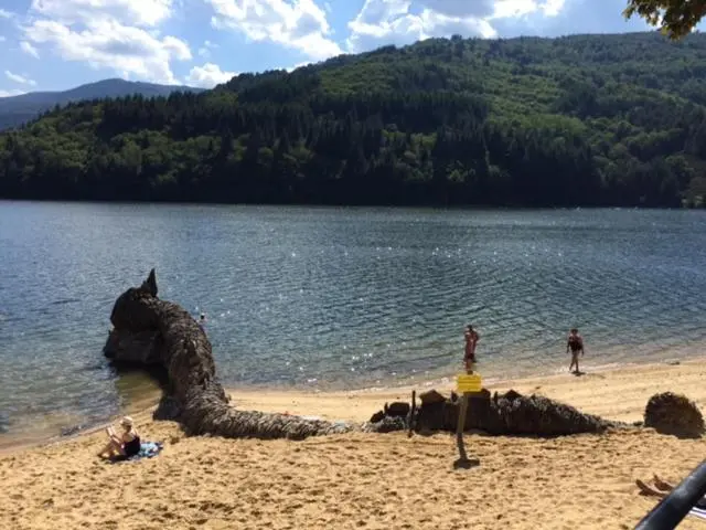 RAMASSAGE DES DÉCHETS AUTOUR DU LAC