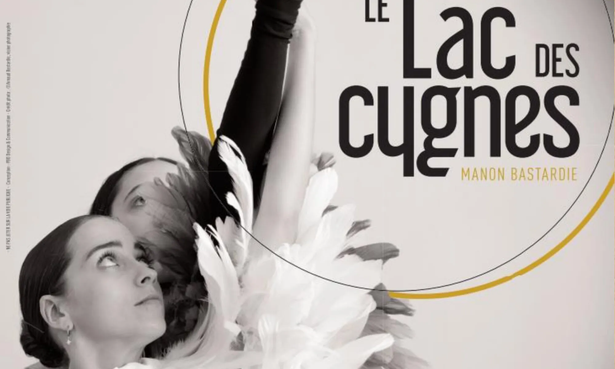 Ballet Le lac des cygnes