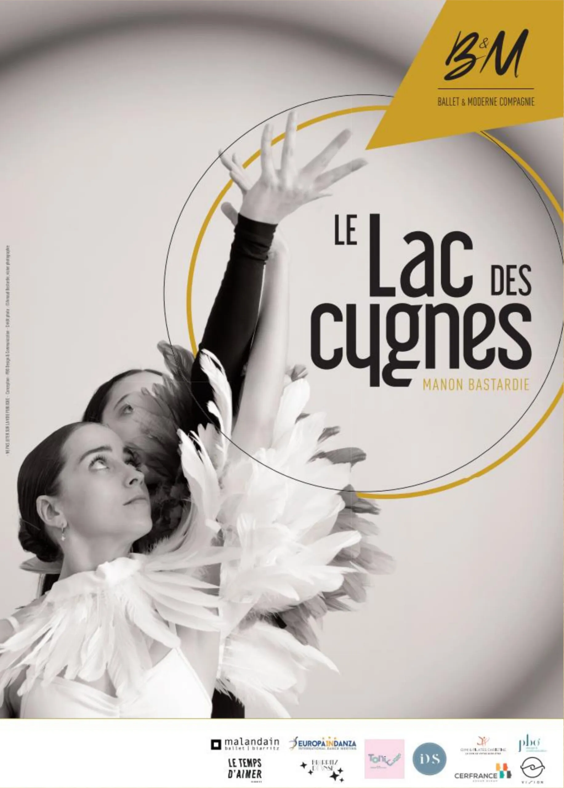 Ballet Le lac des cygnes