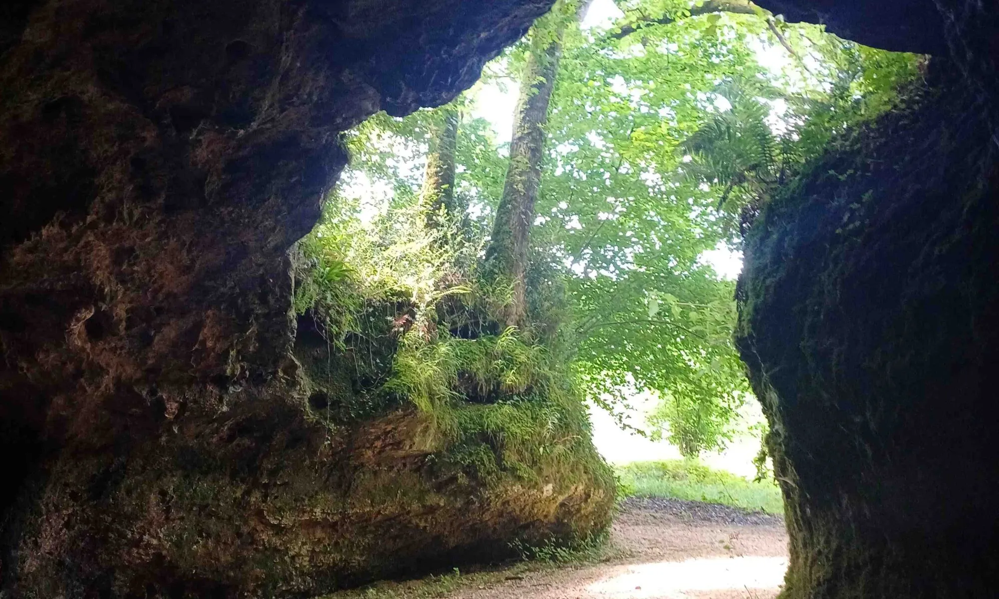 Visite du site archéologique des grottes du Pape En accès rapide