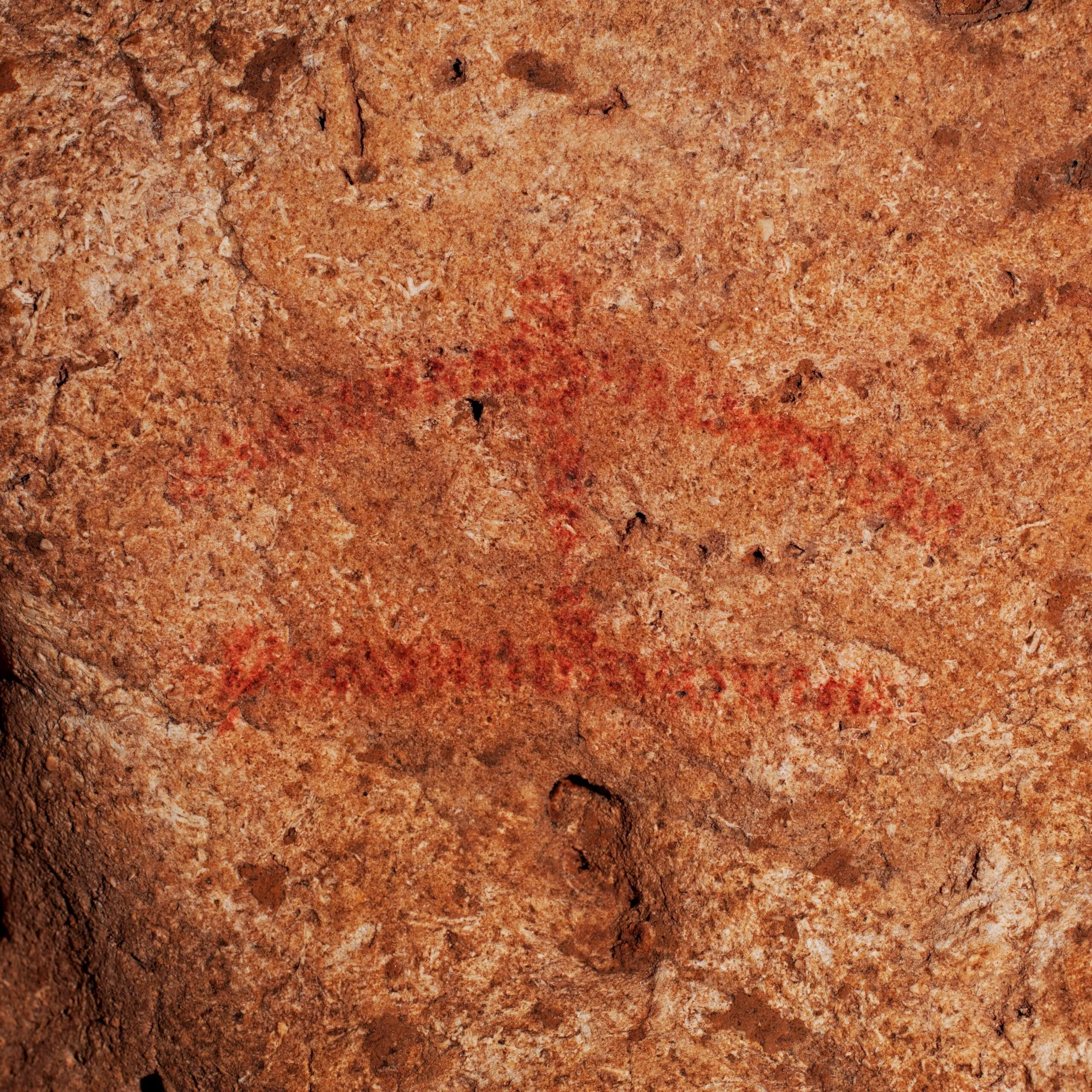 Visites approfondies de la Grotte de Font-de-Gaume