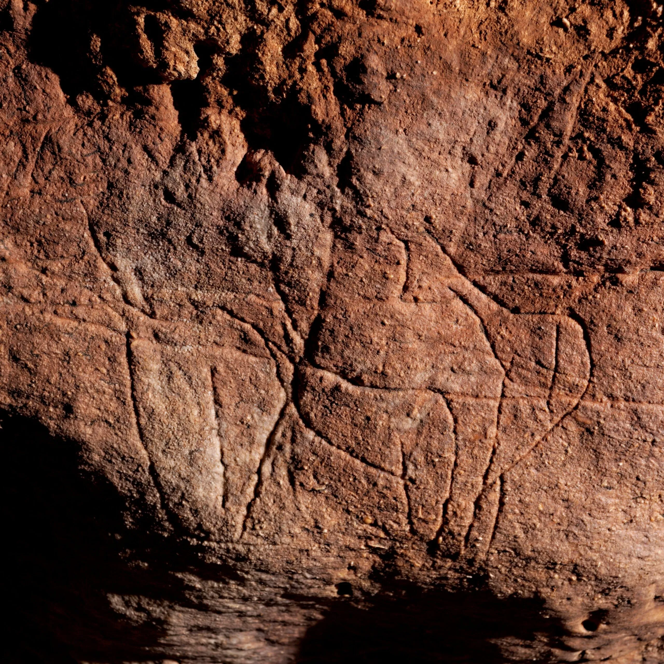 Visites approfondies de la Grotte des Combarelles