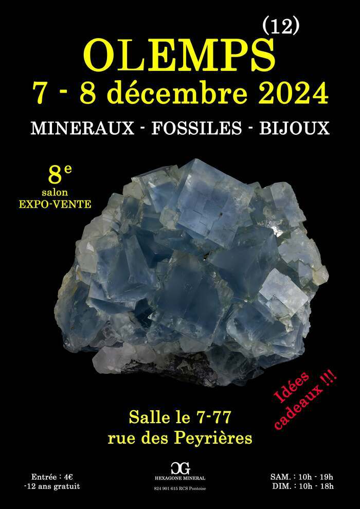 8e SALON MINERAUX FOSSILES BIJOUX de OLEMPS (Aveyron) 7-77 Olemps