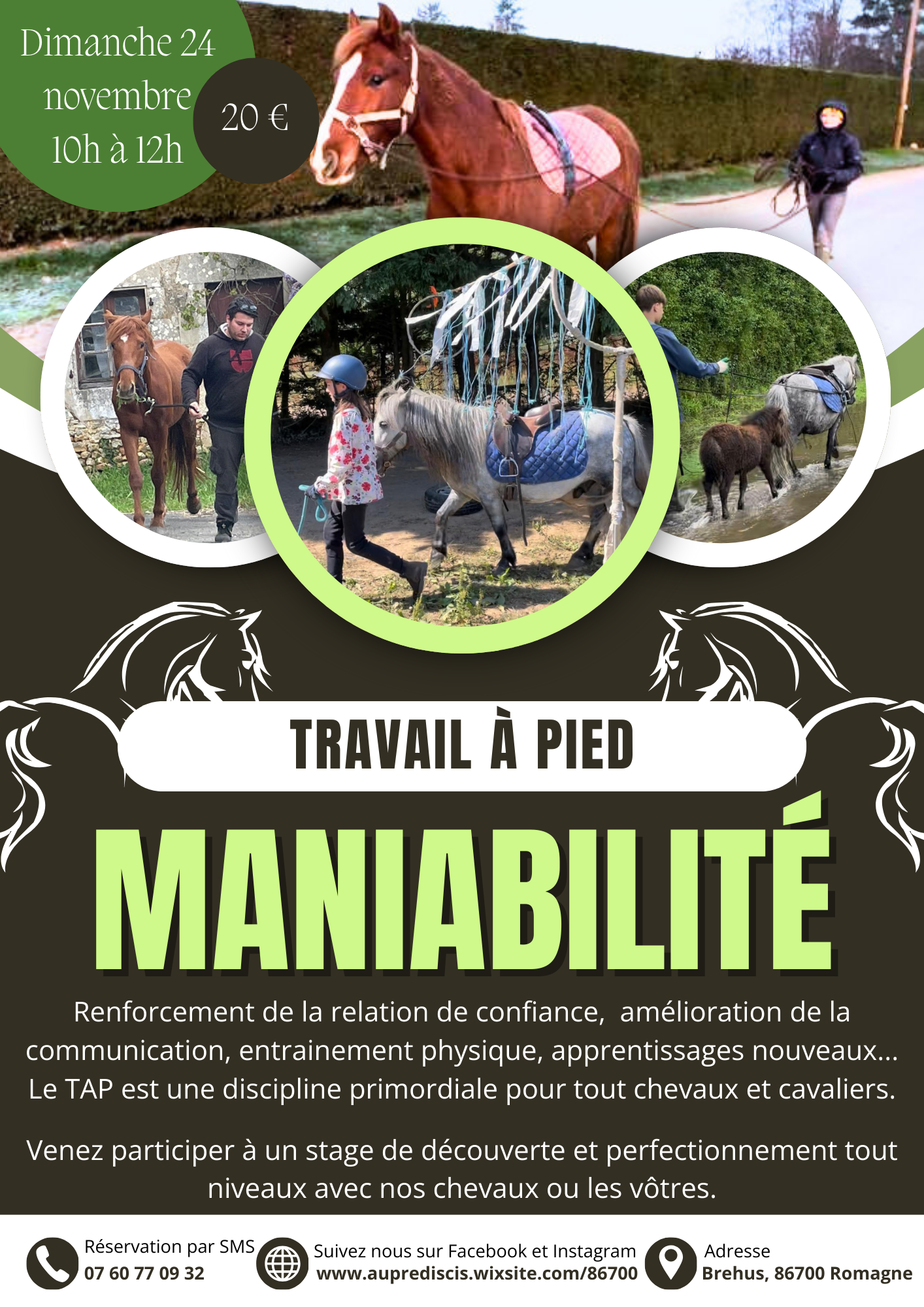 Atelier travail a pied et maniabilité avec le cheval