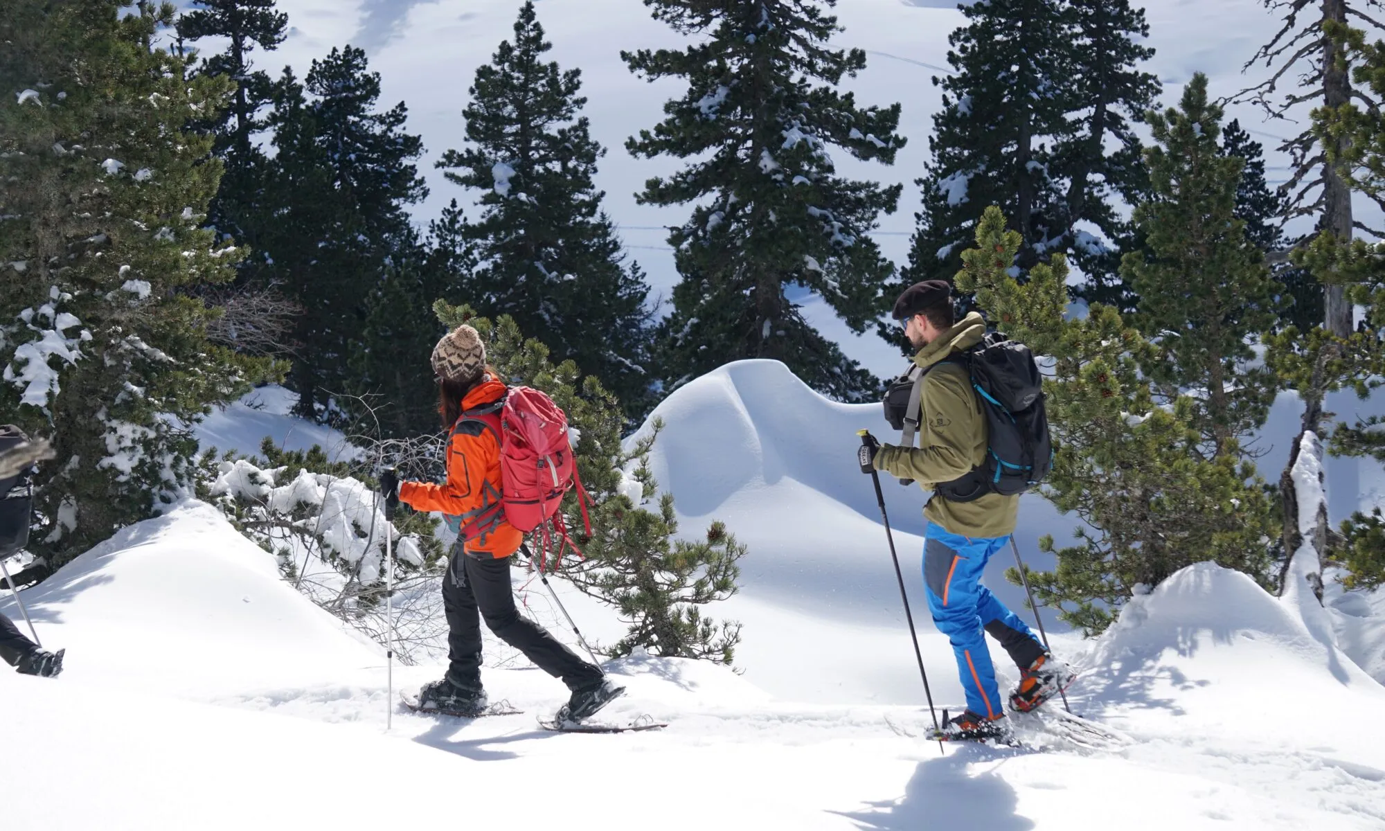 Balade accompagnée en raquettes à neige à la Pierre Saint-Martin