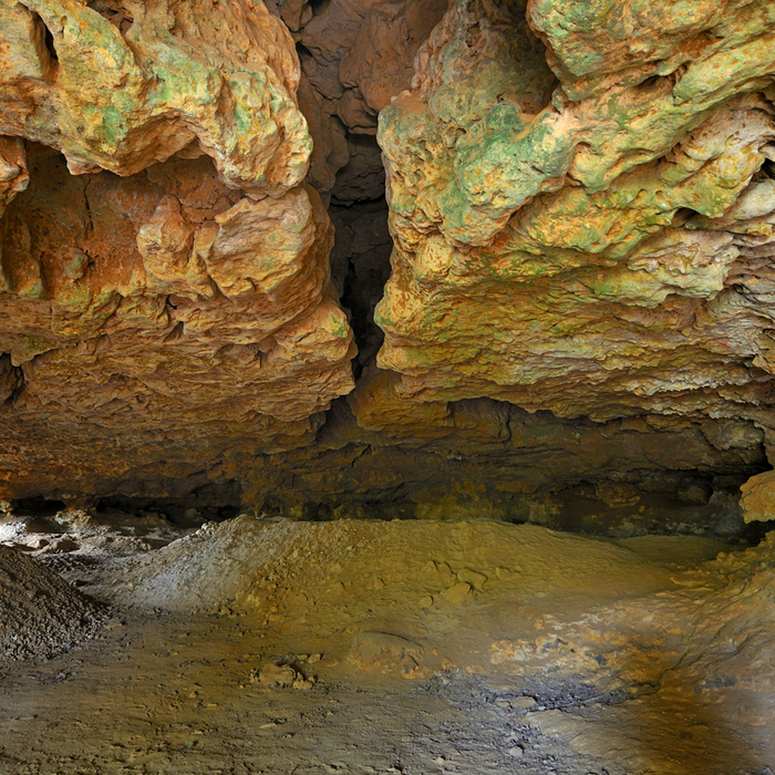 Balade Préhisto' "Du musée aux grottes"