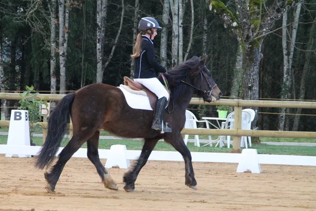 Challenge départemental de dressage