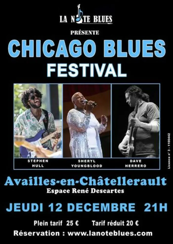 Chicago Blues Festival