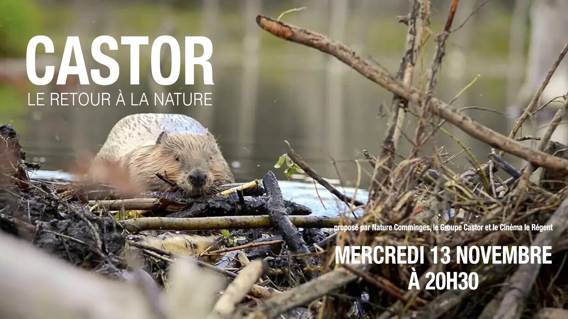 CINÉ RENCONTRES ASSOCIÉES CASTOR LE RETOUR À LA NATURE