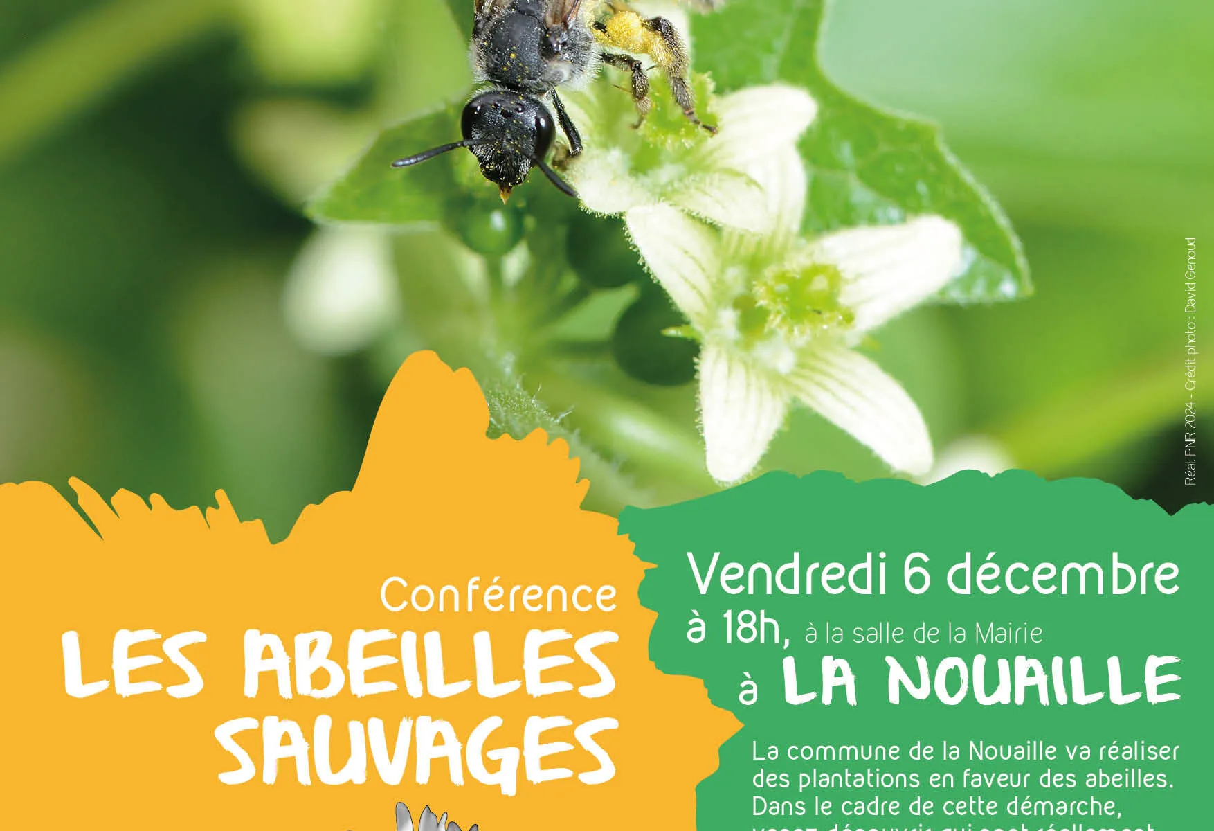 Conférence "Les abeilles sauvages"