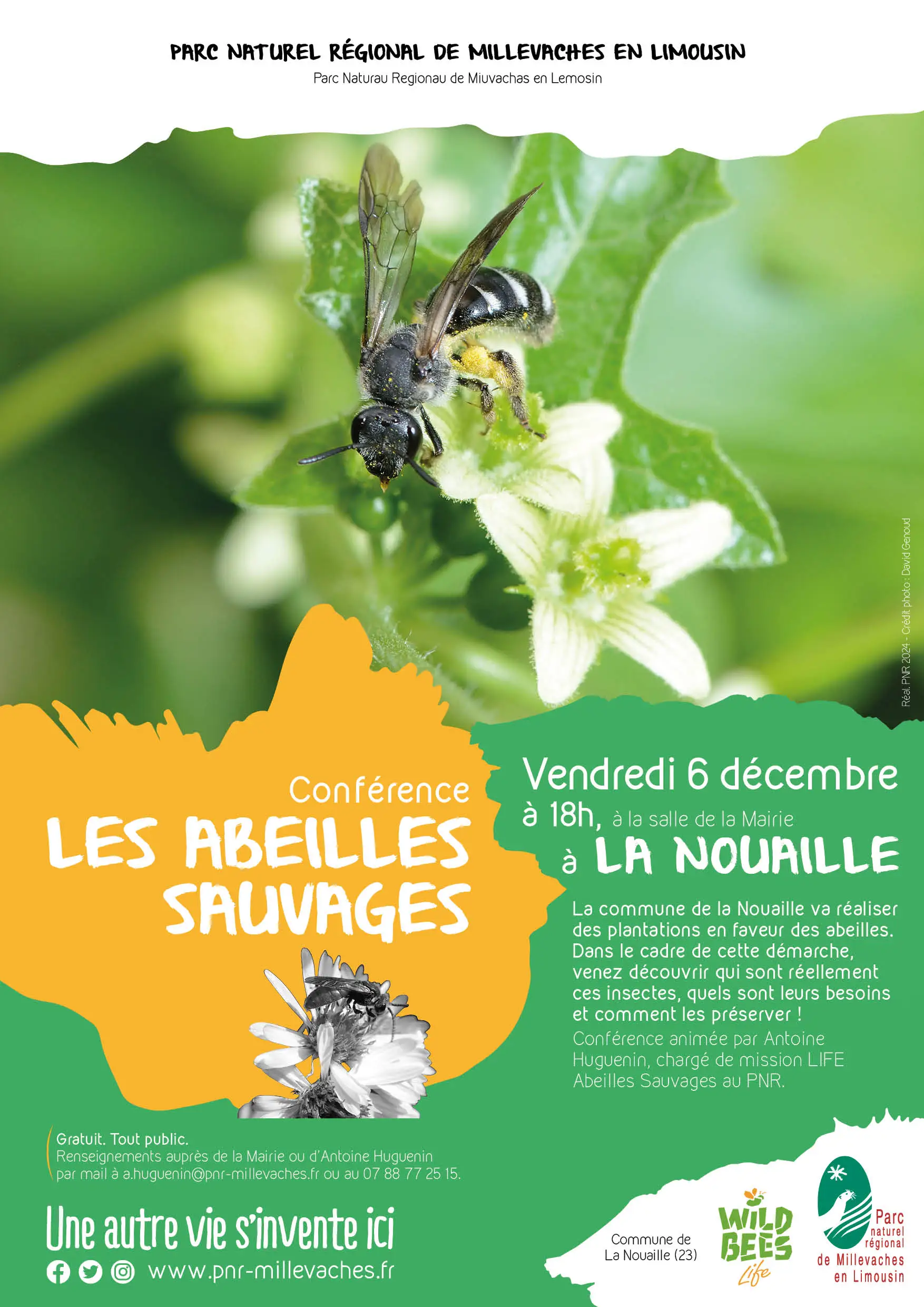 Conférence "Les abeilles sauvages"