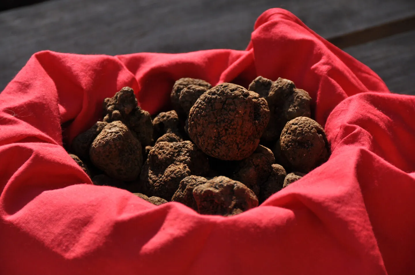 Fête de la truffe à Lalbenque