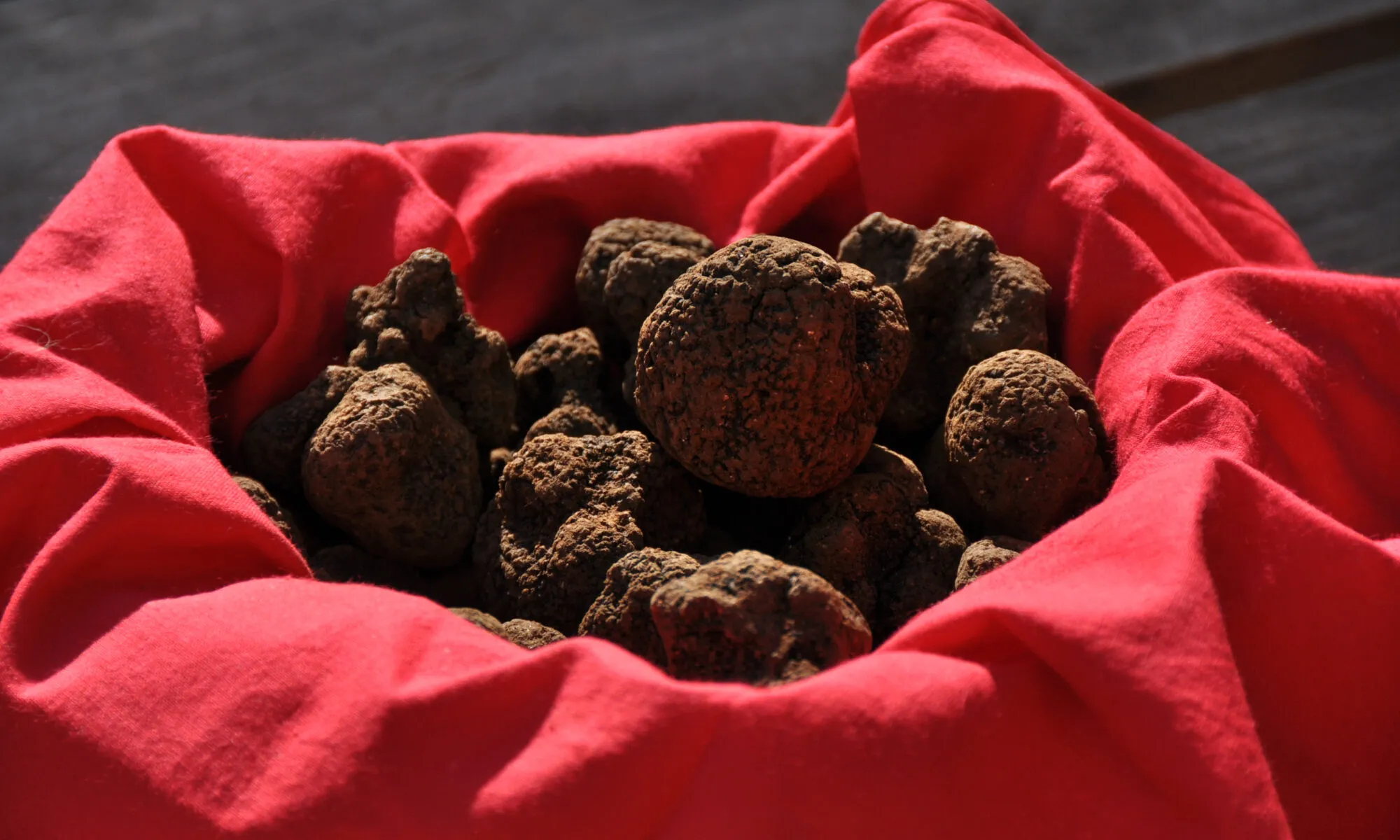 Fête de la truffe à Lalbenque