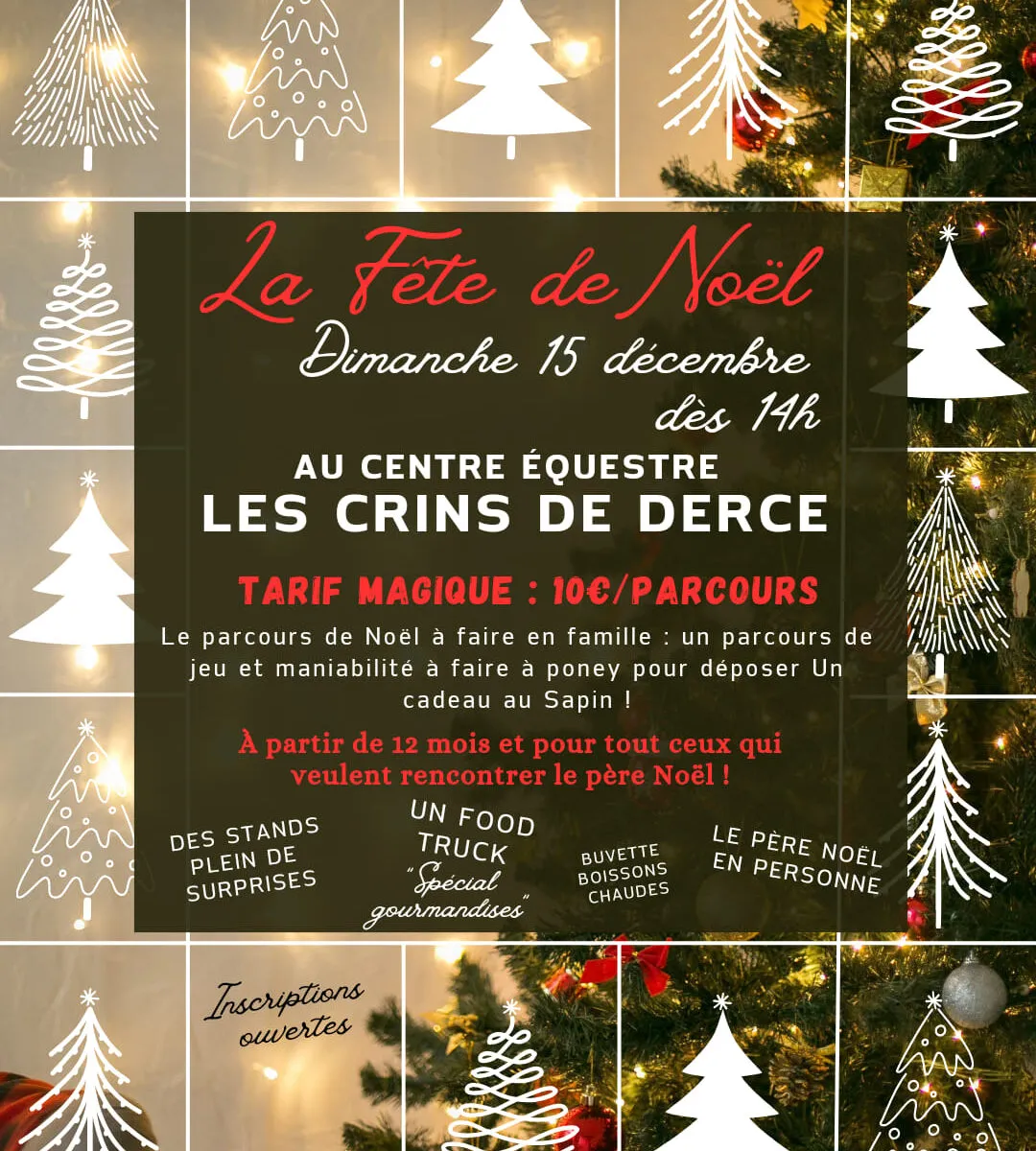 Fête de Noël au centre équestre Les Crins de Dercé