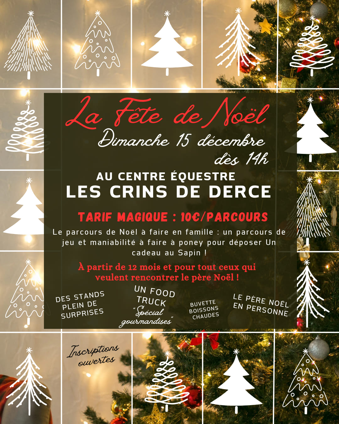 Fête de Noël au centre équestre Les Crins de Dercé