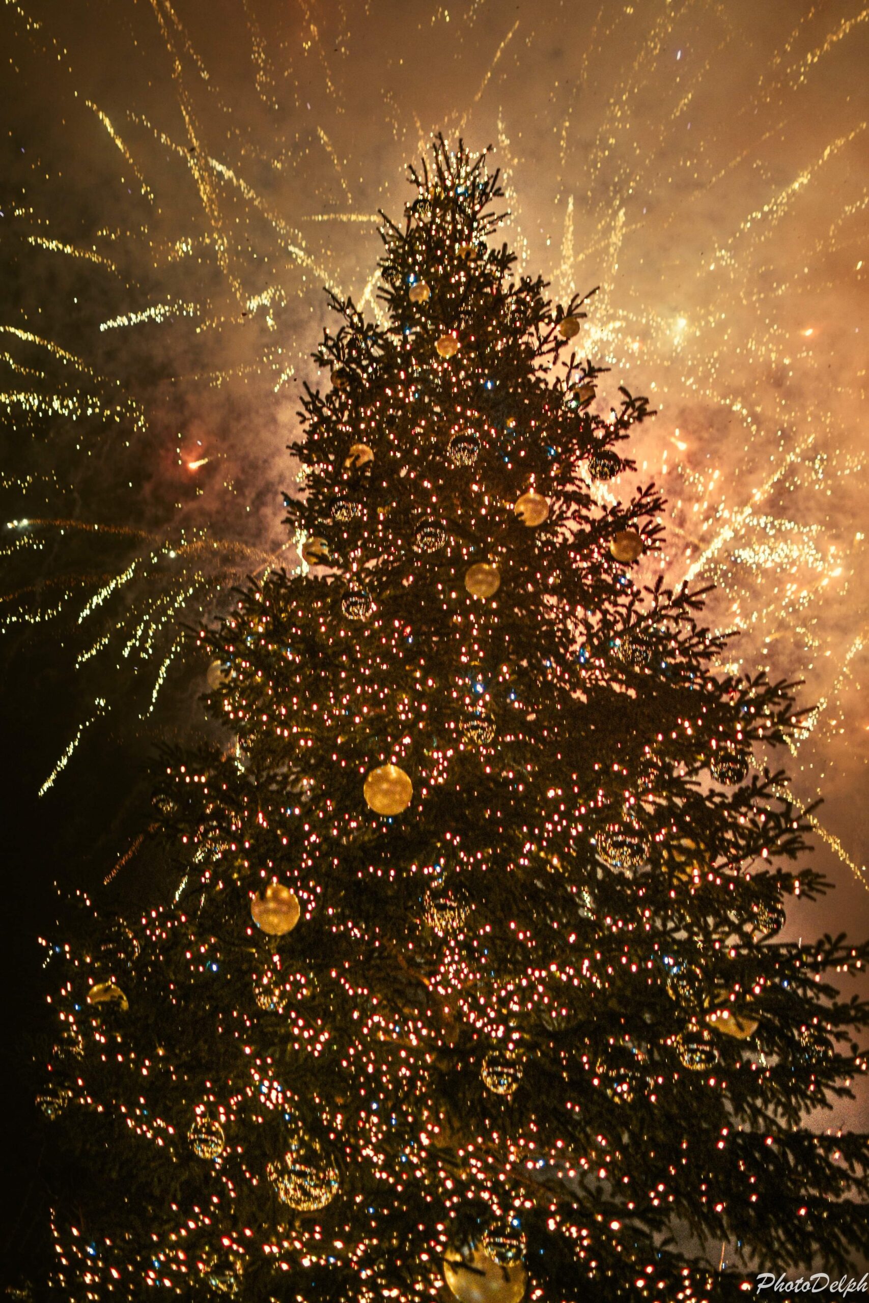 Feu d'artifice de Noël