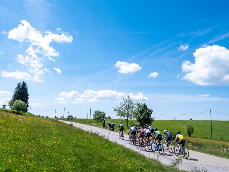 GRANFONDO VOSGES