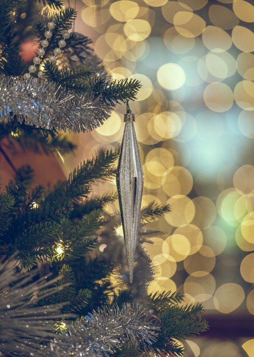 Illumination du sapin de Noël à Savigny-sur-Braye