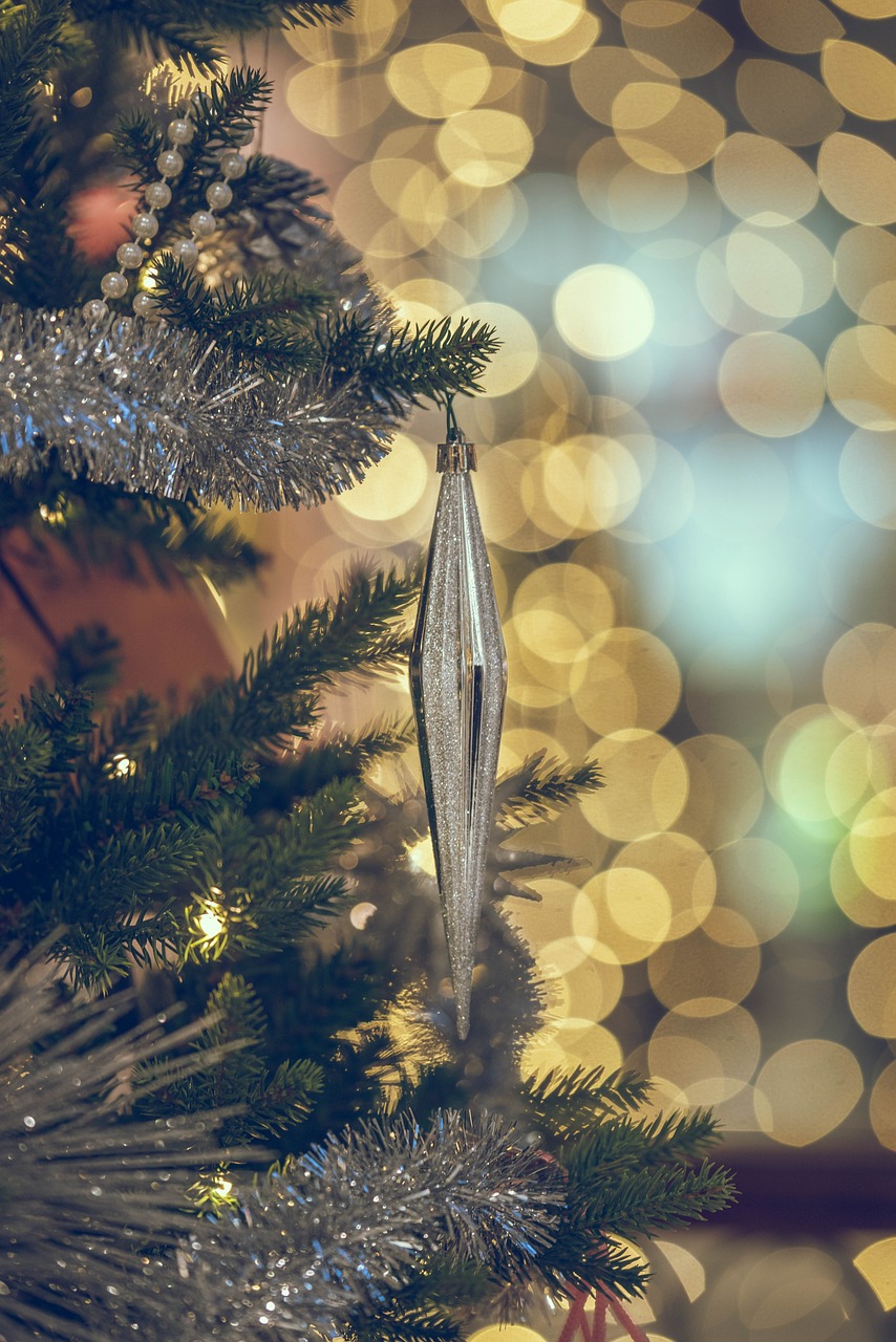 Illumination du sapin de Noël à Savigny-sur-Braye