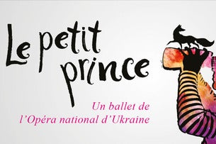 LE PETIT PRINCE COMEDIE DE LA ROSERAIE Toulouse