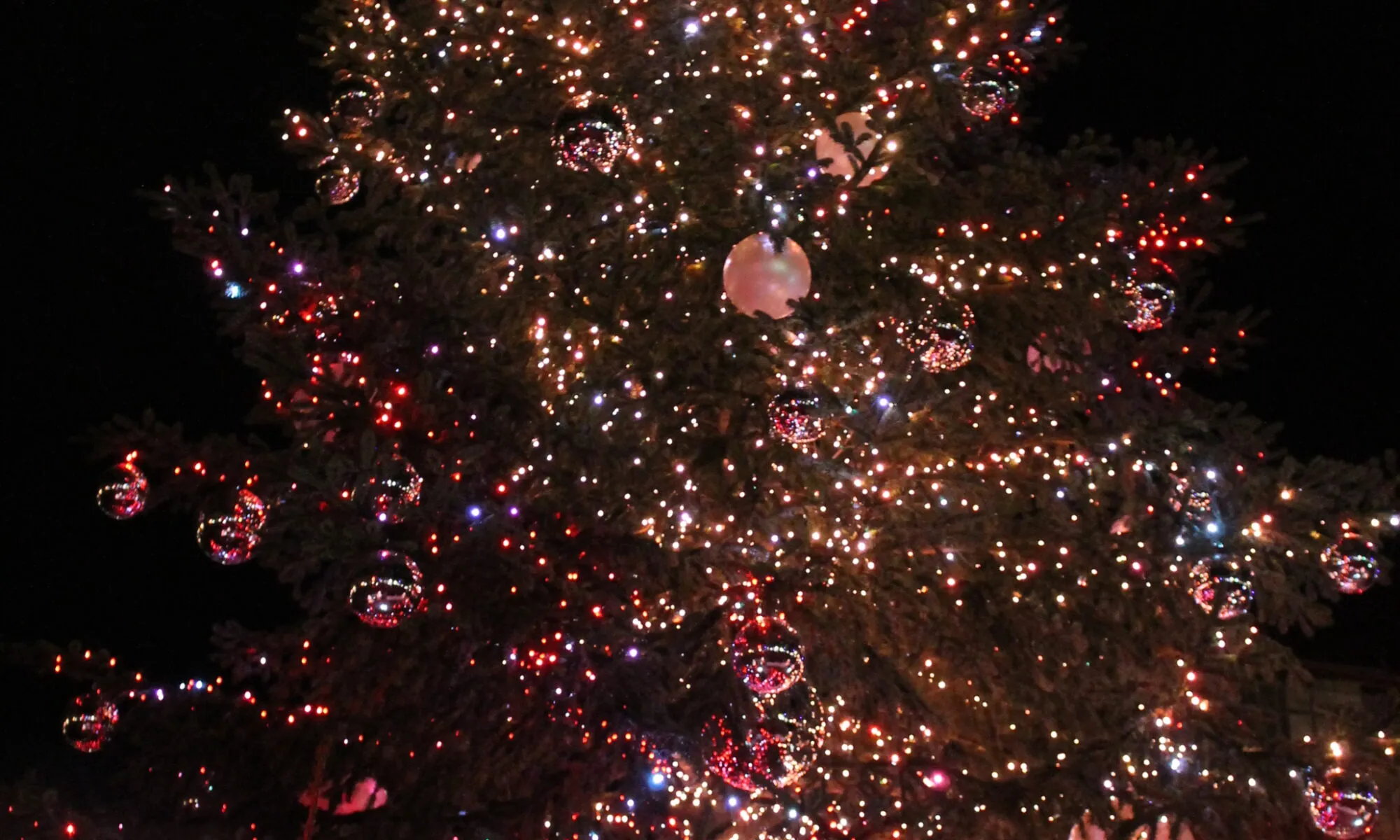 Le sapin féérique Abracadabouille !