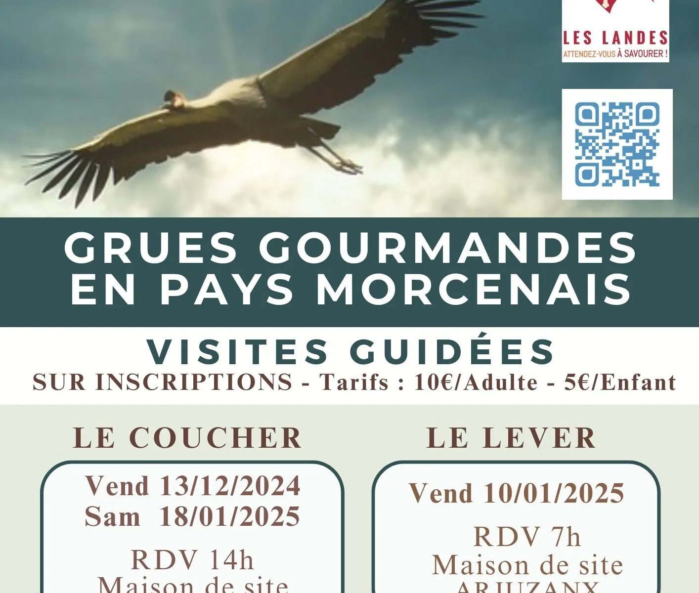 Les grues gourmandes en Pays Morcenais Le coucher