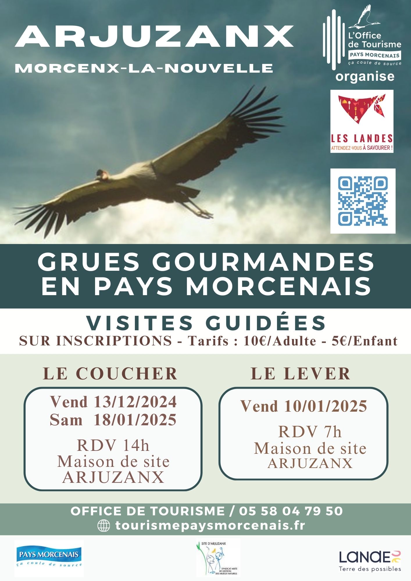 Les grues gourmandes en Pays Morcenais Le lever