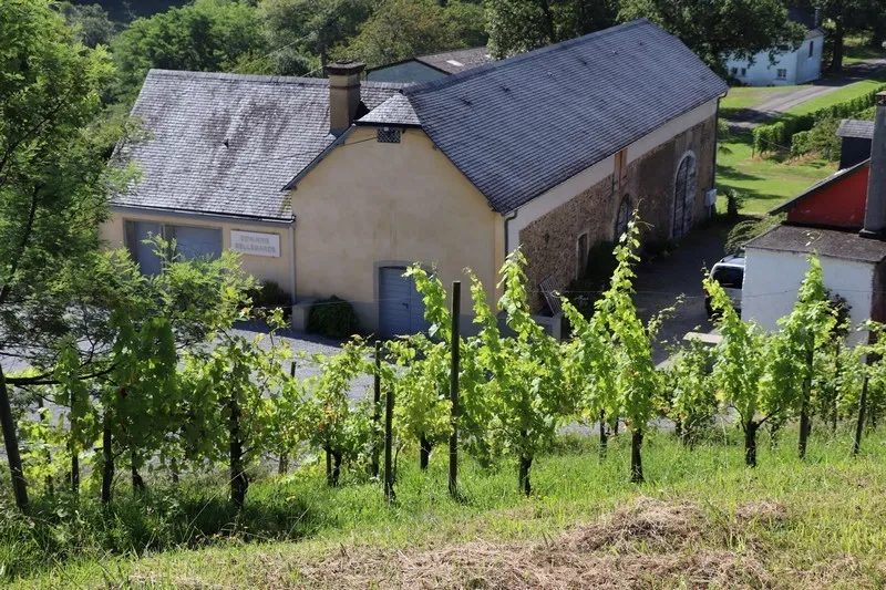 Portes ouvertes en Jurançon Domaine Bellegarde