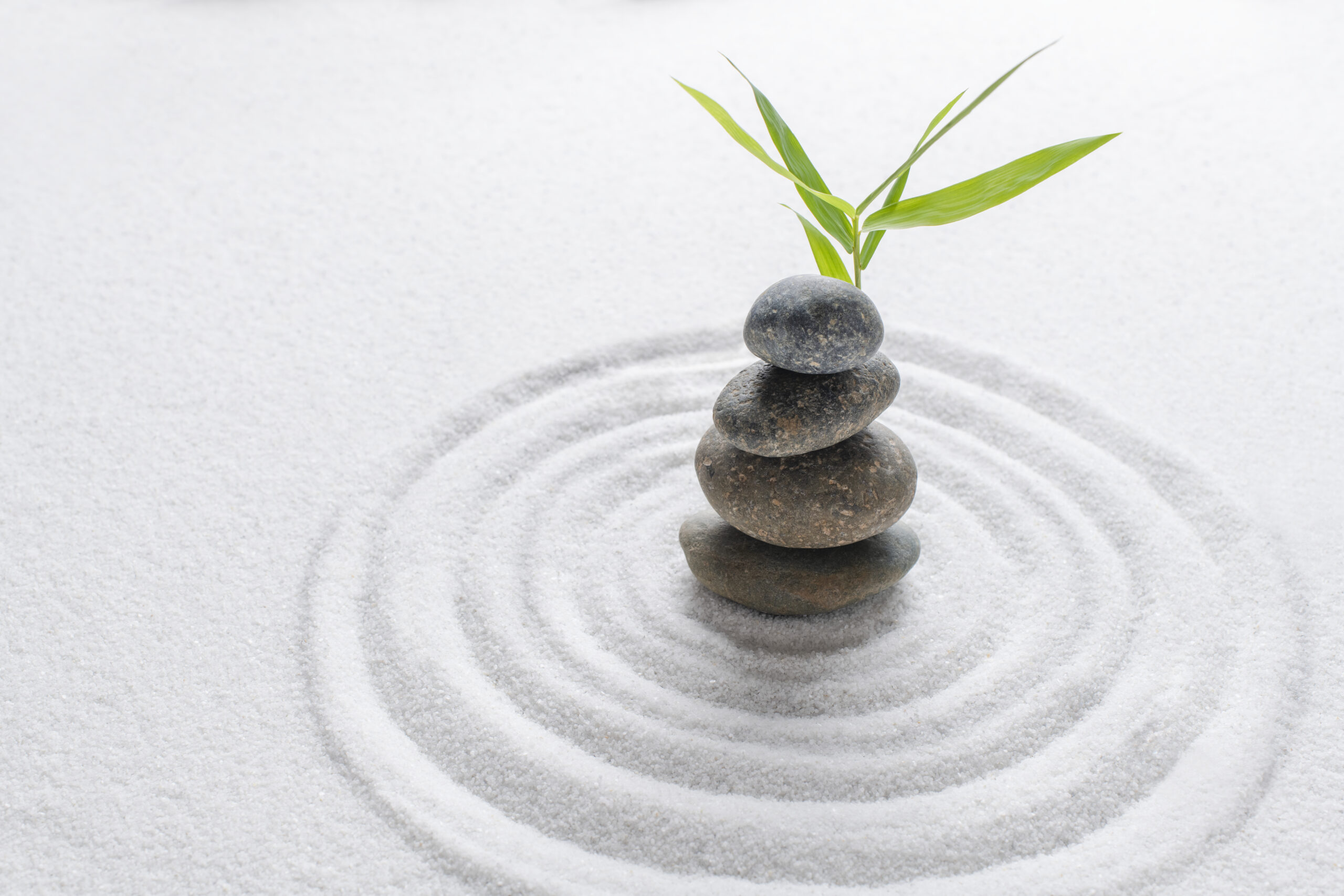 Soirée méditation