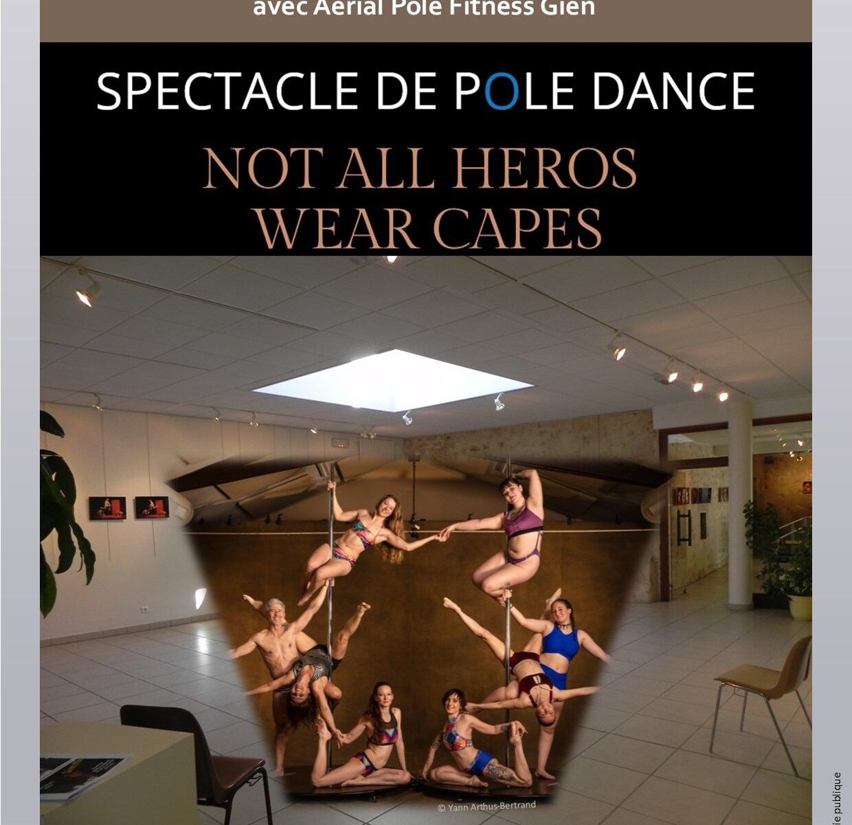 Spectacle de Pole Dance