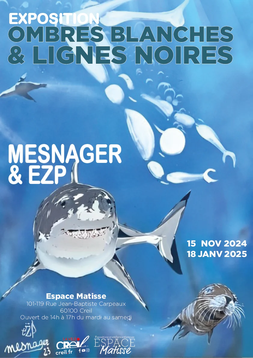 Vernissage de l'exposition "Ombres blanches & lignes noires" par Mesnager et EZP