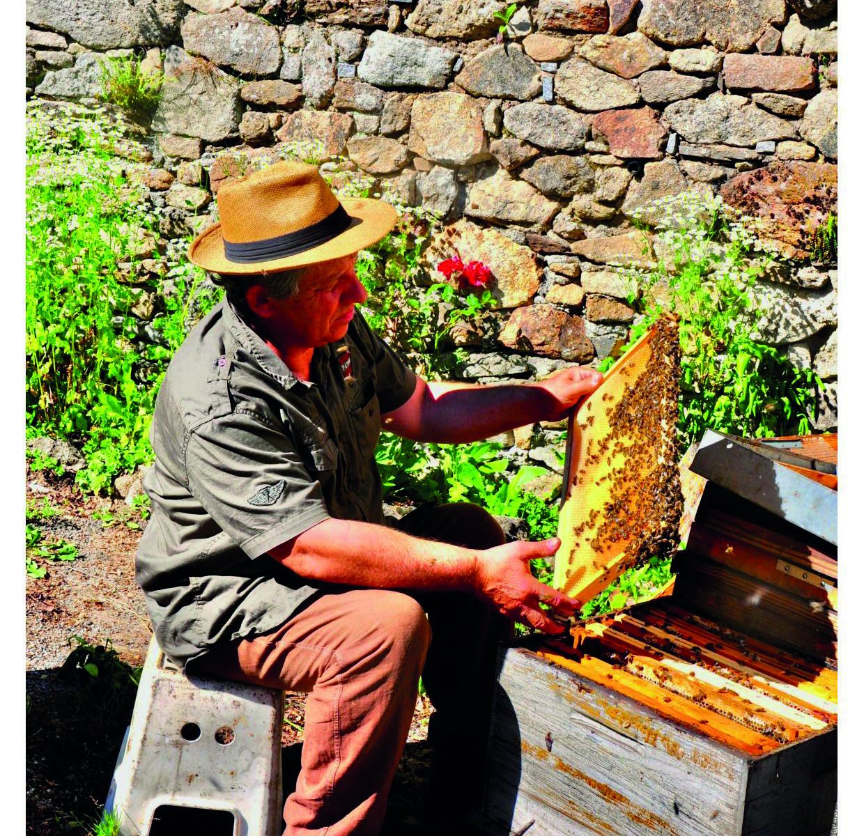 Visite commentée du Berger des abeilles