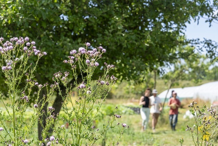 Apprendre à tailler et soigner ses arbustes et ses fruitiers Jardins familiaux des Gayeulles Rennes