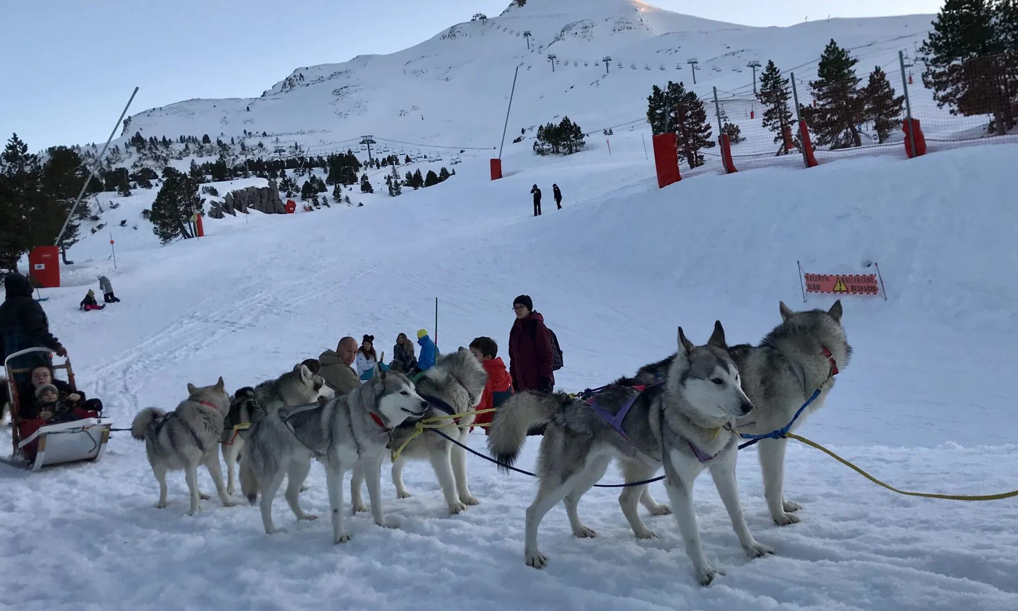 Baptême découverte en traîneau à chiens