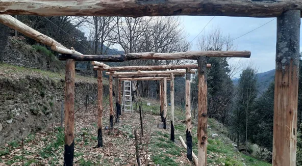 CHANTIER COLLECTIF MONTAGE D'UNE TREILLE EN CHÂTAIGNIER