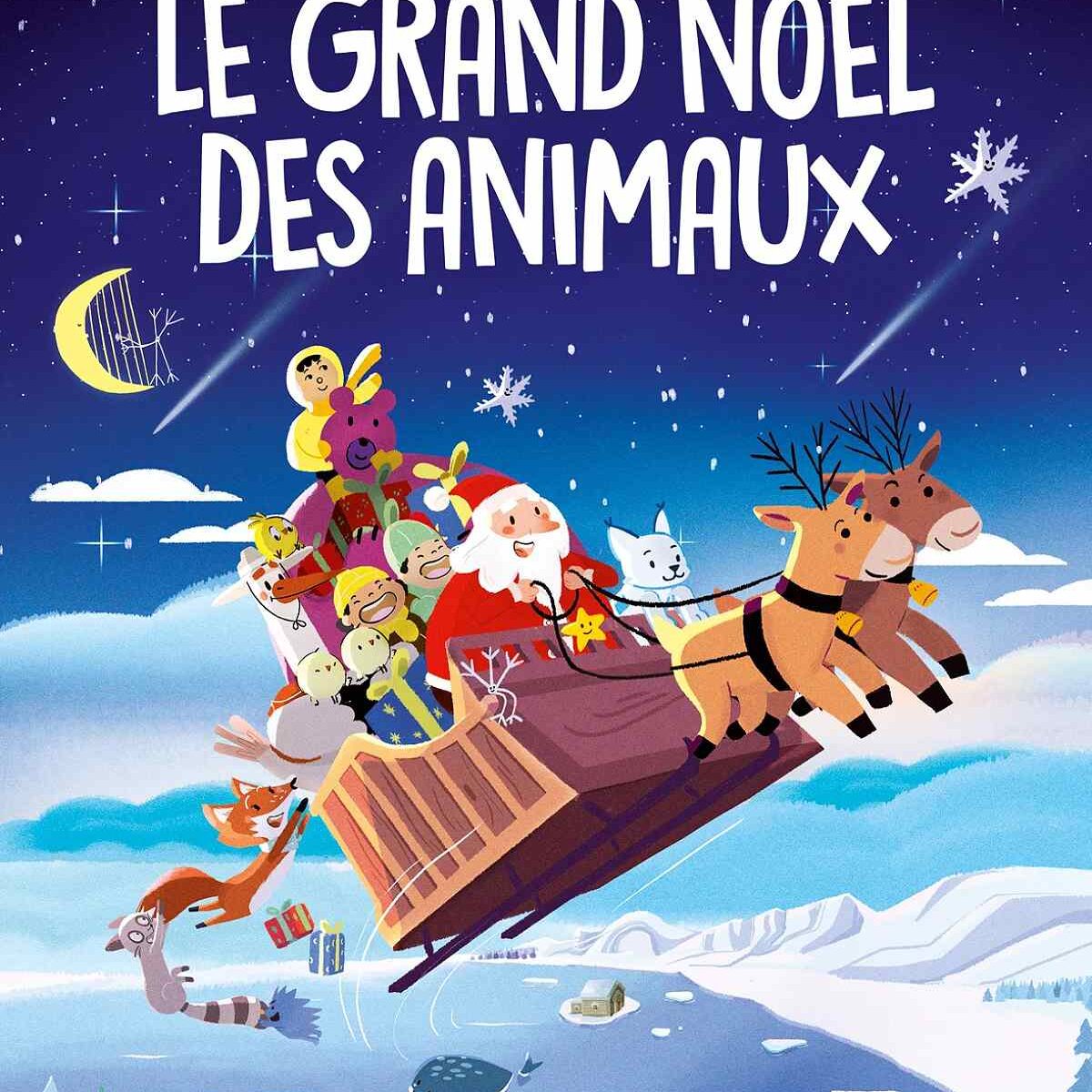 CINÉMA A L'AUDITOIRE DE JOINVILLE "LE GRAND NOEL DES ANIMAUX"