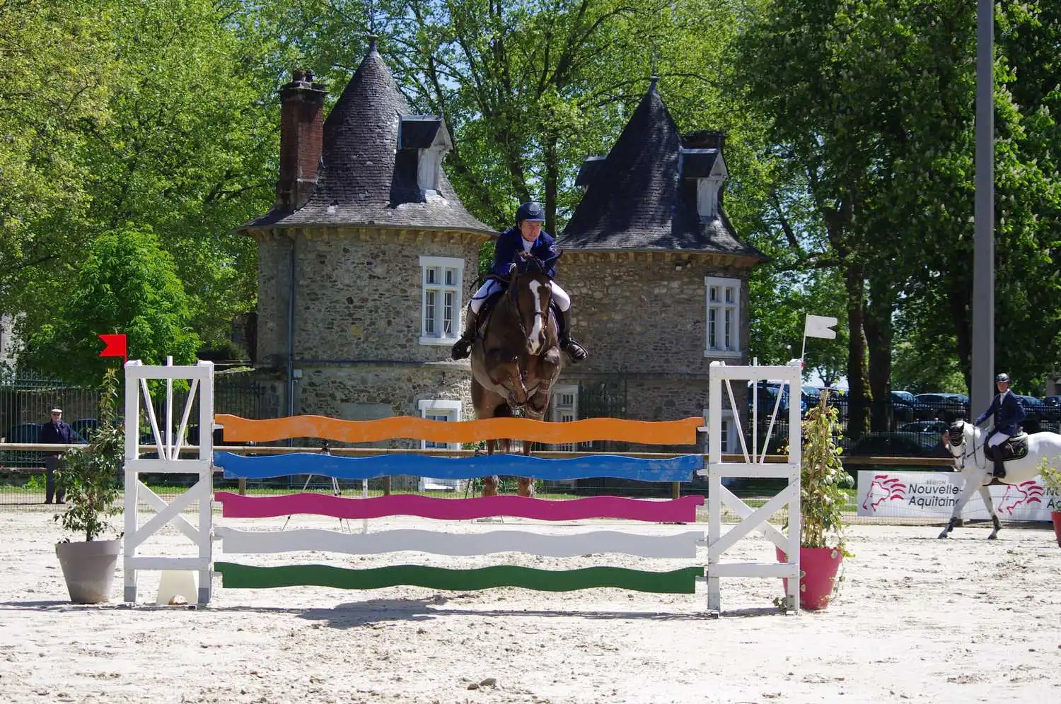 Concours de Saut d'Obstacles Jeunes chevaux