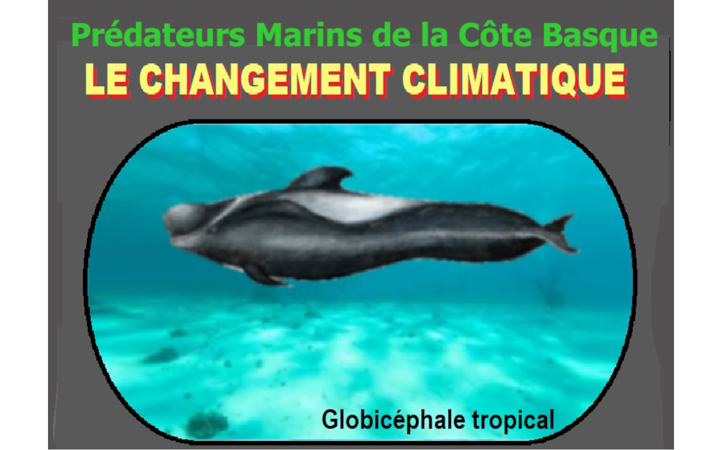 Conférence de l'Université du Temps Libre "Prédateurs marins de la côte basque le changement climatique"