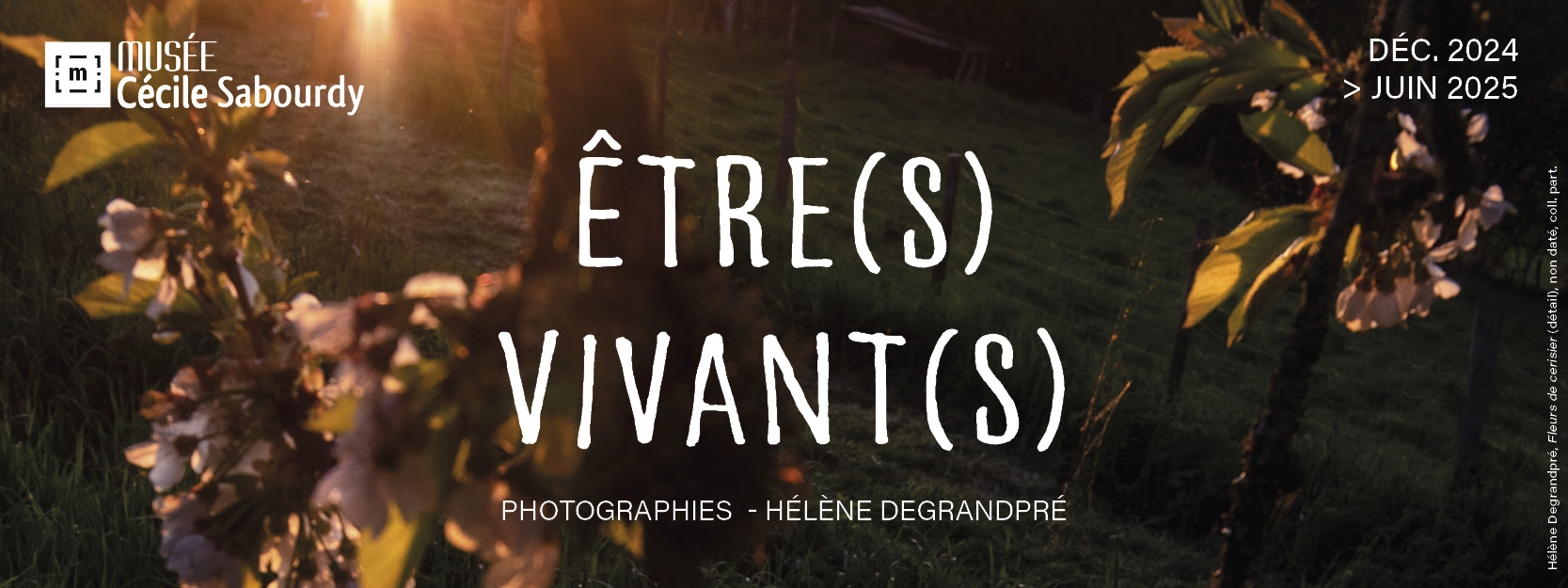 Expositions Être(s) Vivant(s) Photographies Hélène Degrandpré