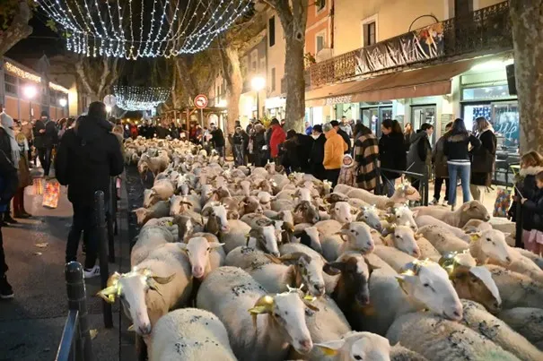 LA TRANSHUMANCE LUMINEUSE