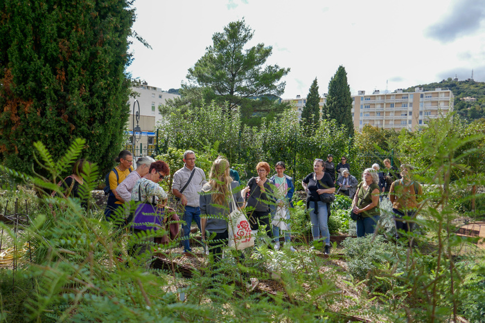 Le jardin au printemps et les plantes médicinales dépuratives Les Terrasses du Bosquet Alès