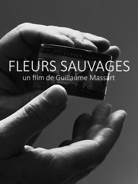 LES RENCONTRES DU FILM D'ART FLEURS SAUVAGES