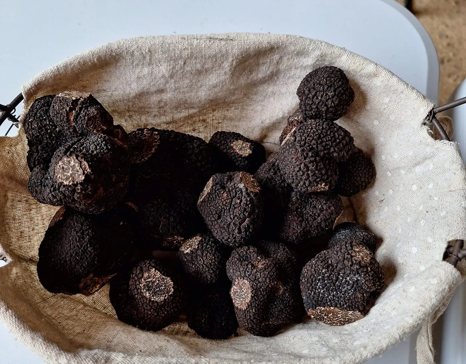 Marché aux truffes