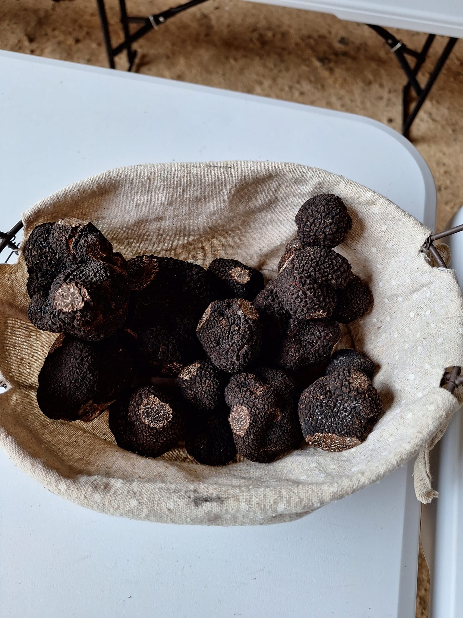 Marché aux truffes